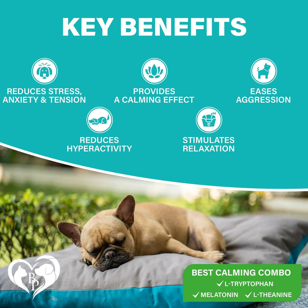 Hemp Calming Chews for Dogs & Puppy