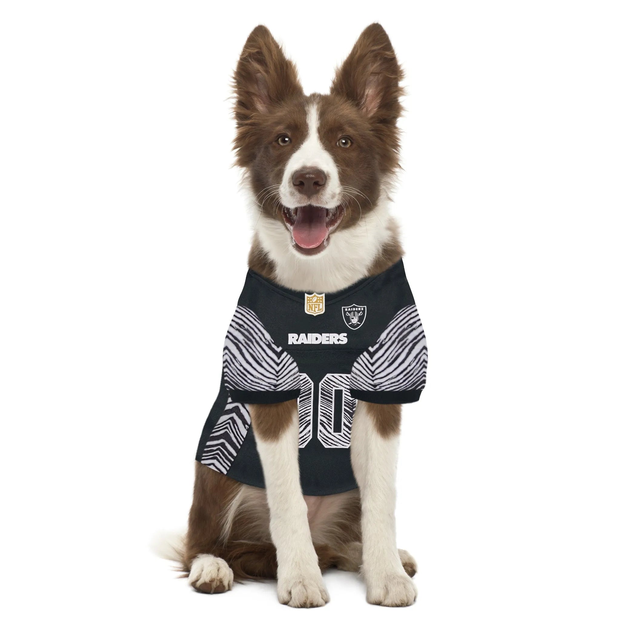 Las Vegas Raiders Zubaz Pet Jersey