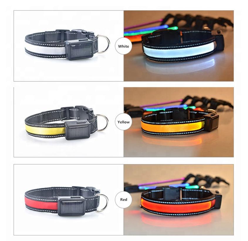 Collare per cani con LED riflettente e ricarica solare e USB 