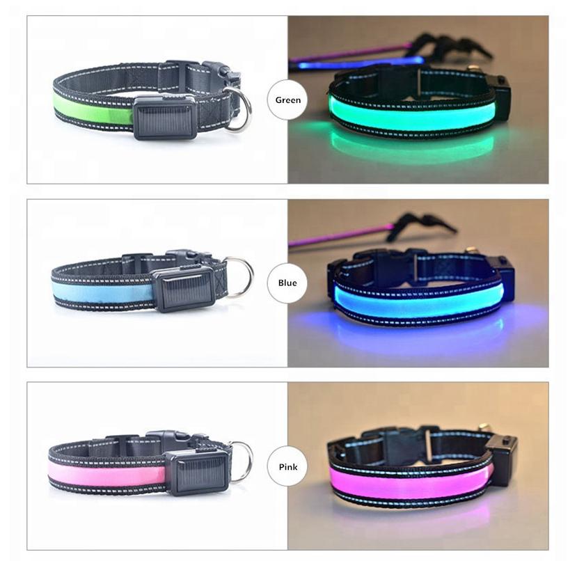 Collare per cani con LED riflettente e ricarica solare e USB 