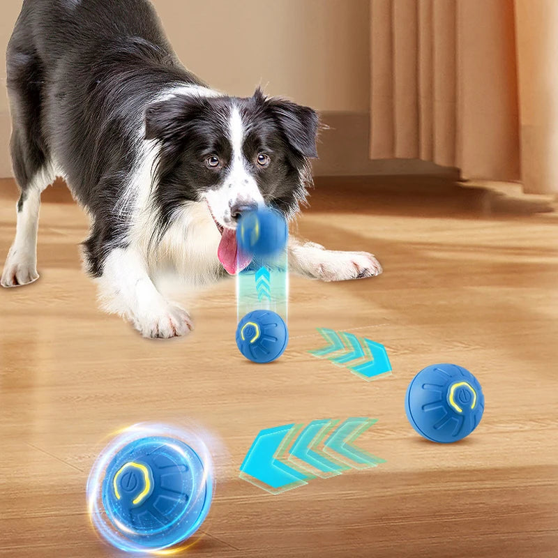 Palla giocattolo per cani che si muove automaticamente, intelligente, USB, salta, ruota, interattiva