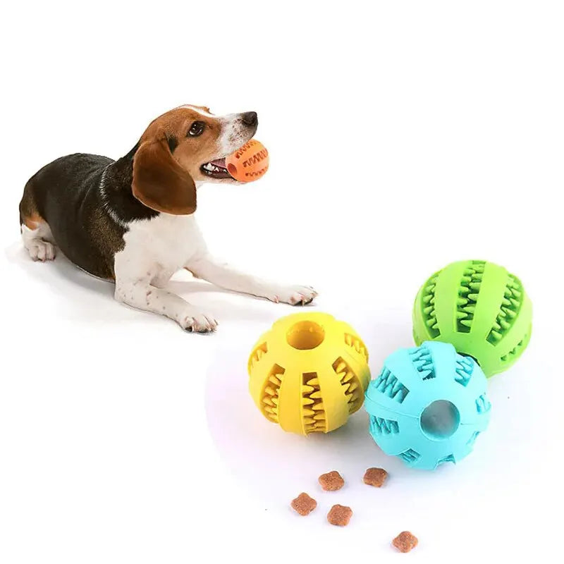 Dog Toy Ball, Nontoxic Bite Resistant Toy Ball for Pet Dogs Puppy Cat,