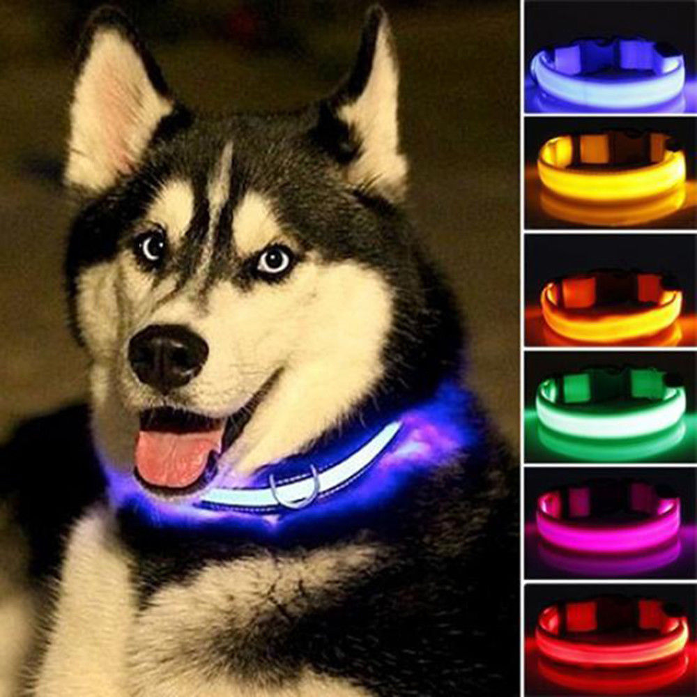 Set di 2 collari per cani in nylon con LED