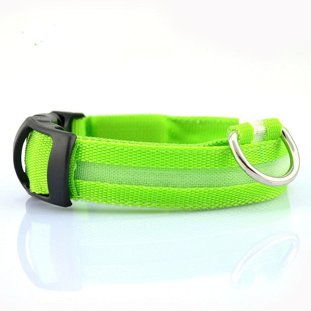 Set di 2 collari per cani in nylon con LED