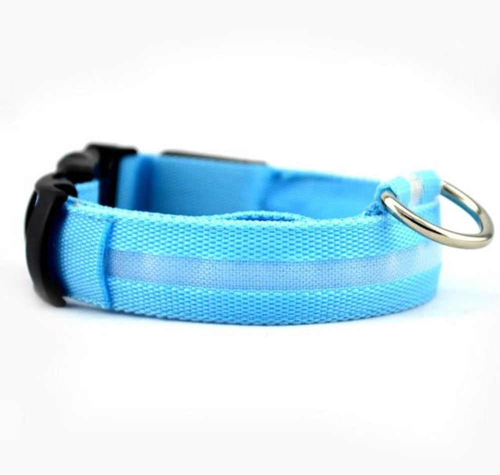 Set di 2 collari per cani in nylon con LED