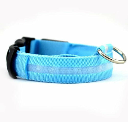 Set di 2 collari per cani in nylon con LED
