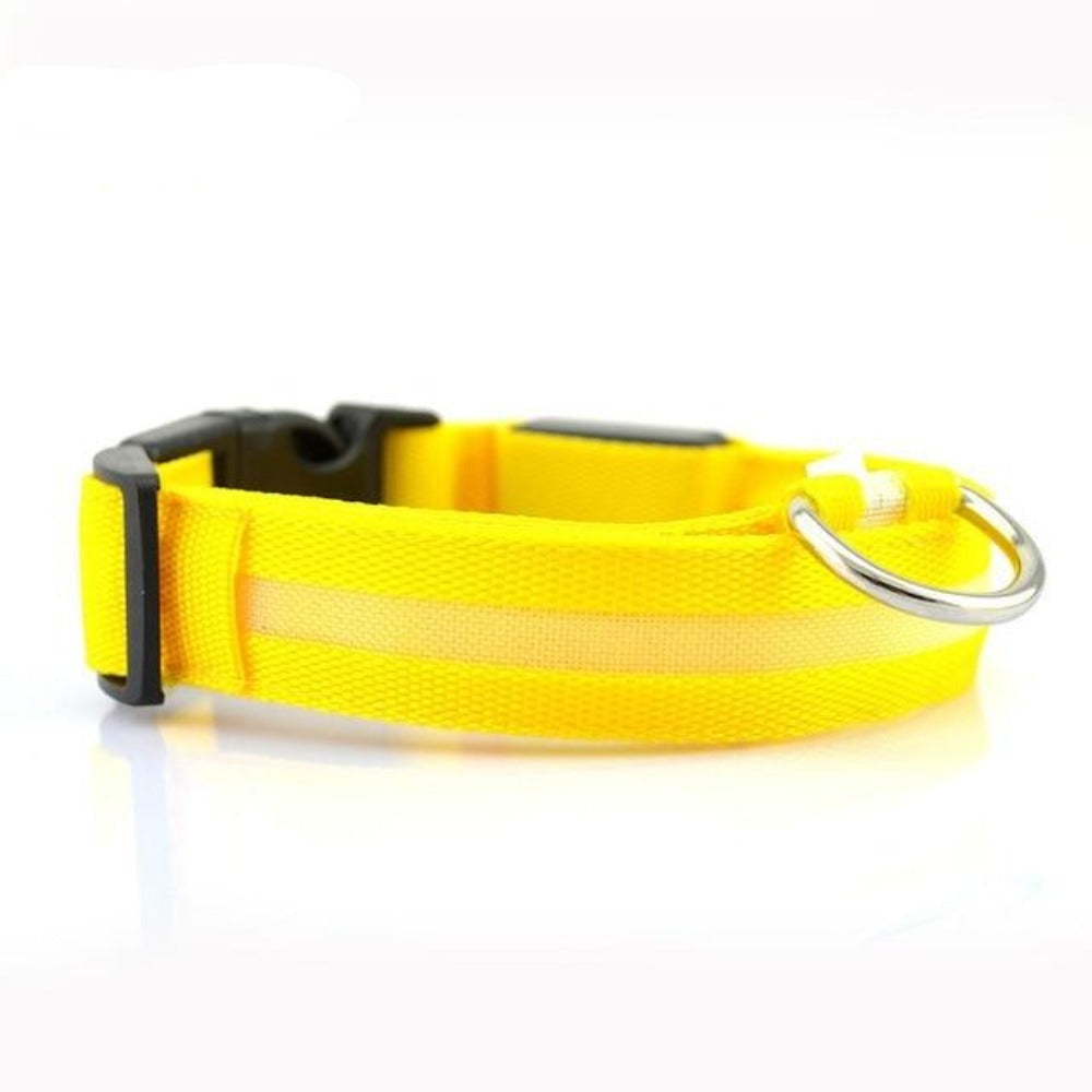 Set di 2 collari per cani in nylon con LED